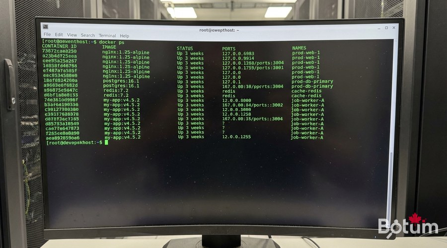 Conteneurs Docker en cours d'exécution