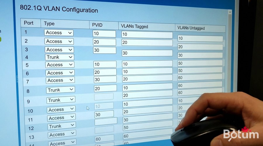 Switch interface VLAN configuration 802.1Q tagging trunk access ports enterprise network